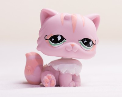 lps pink persian cat